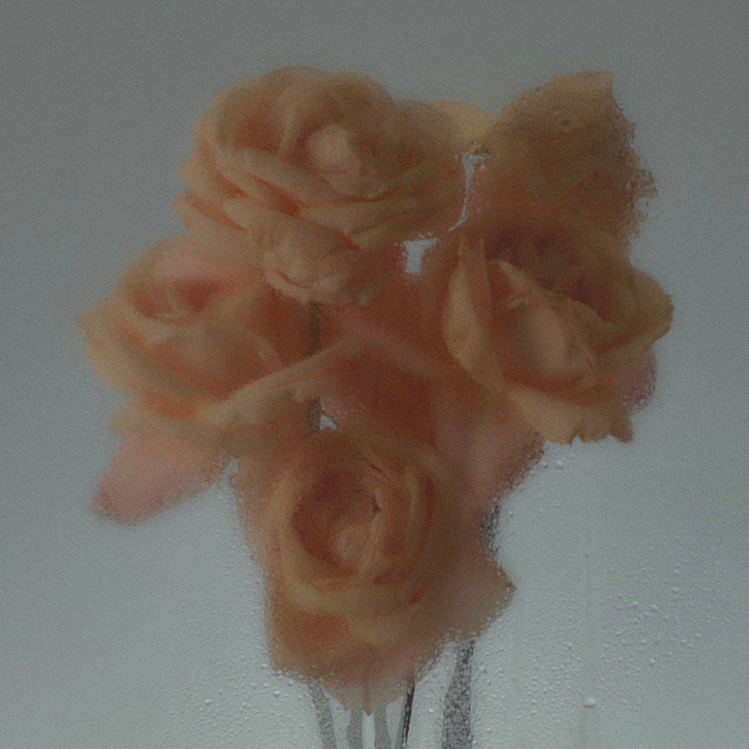 Nurture Eau de Parfum