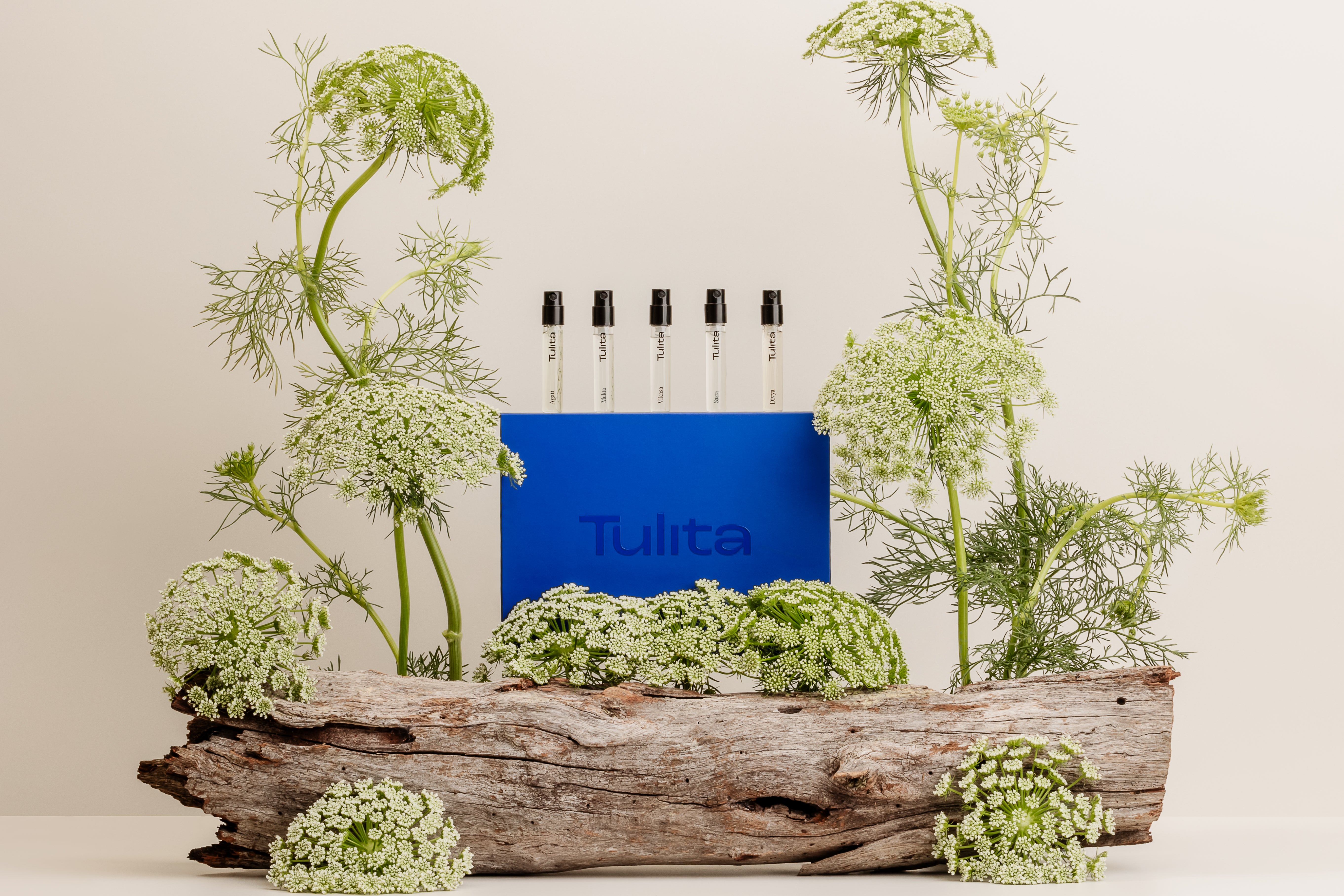 Complete Discovery Kit